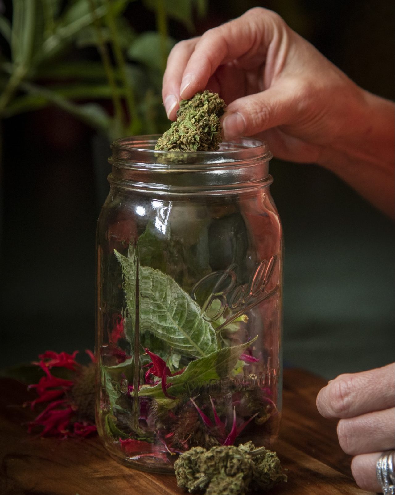Cooking with Cannabis Classes | Lancaster PA | Lancaster, PA | Hempfield Apothetique | Lancaster, PA