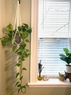 Macramé Plant Hanger Workshop | Lancaster, PA | Hempfield Apothetique