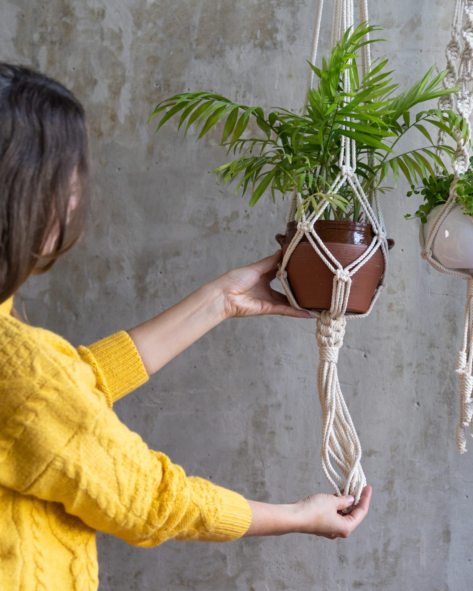 Macramé Plant Hanger Workshop | Lancaster, PA | Hempfield Apothetique