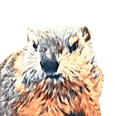 Poppy the Groundhog 2023 Prognostication | Lancaster, PA