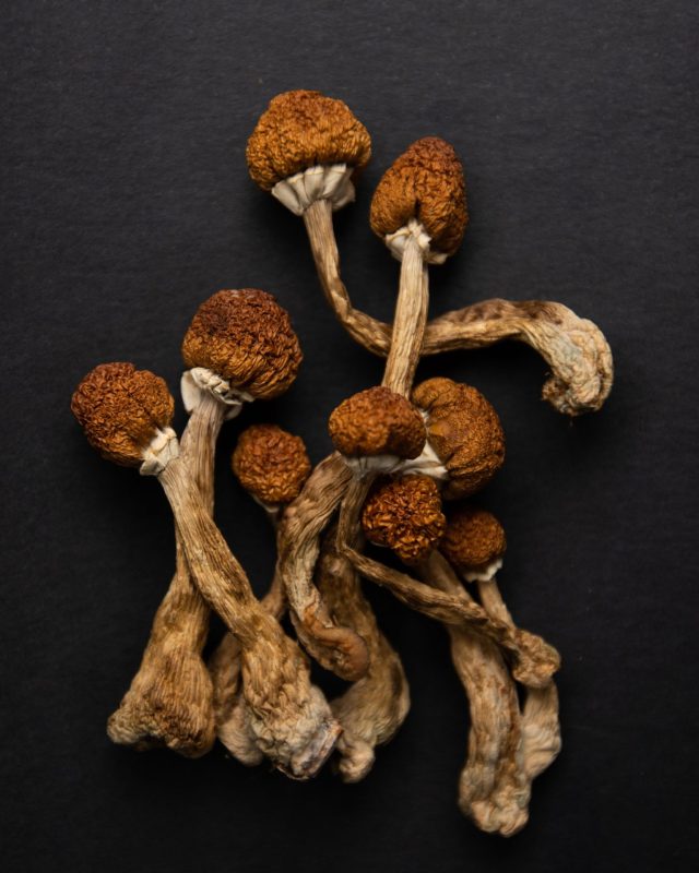 Lancaster Psychedelic Community Meet Up | Lancaster, PA | Hempfield Apothetique