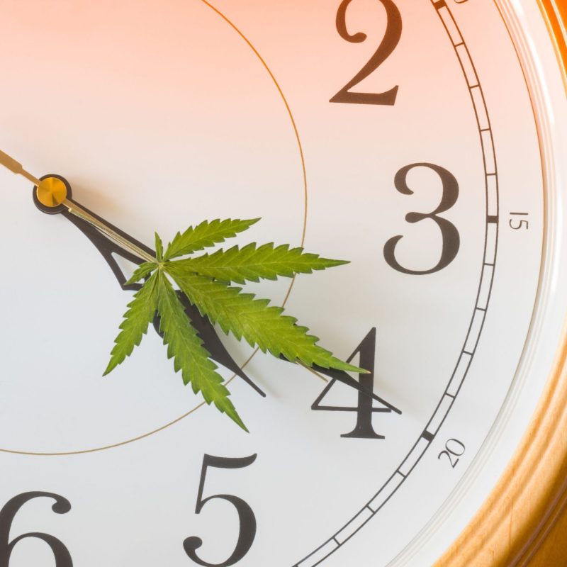 Blazing Trails: The Wild Origins of 420 and the Legendary Waldos! | Hempfield Botanicals | Hempfield Apothetique