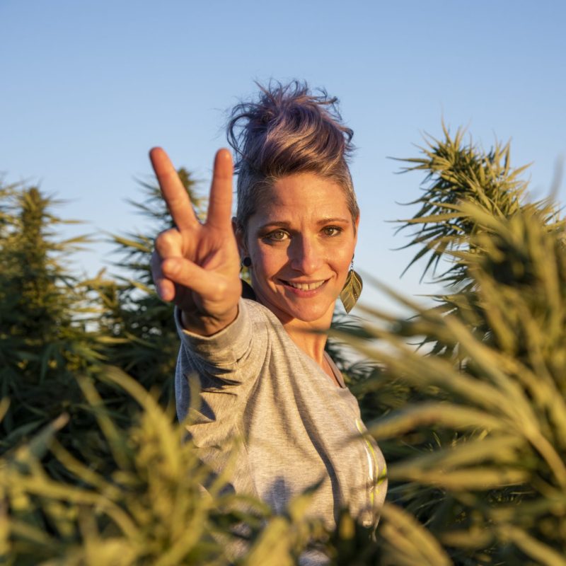 Celebrate 4/20 in Pennsylvania | PA 4/20 Events | Lancaster, PA 4/20 | Lancaster, PA Cannabis Dispensary | Hempfield Apothetique | The Lounge at Hempfield Apothetique