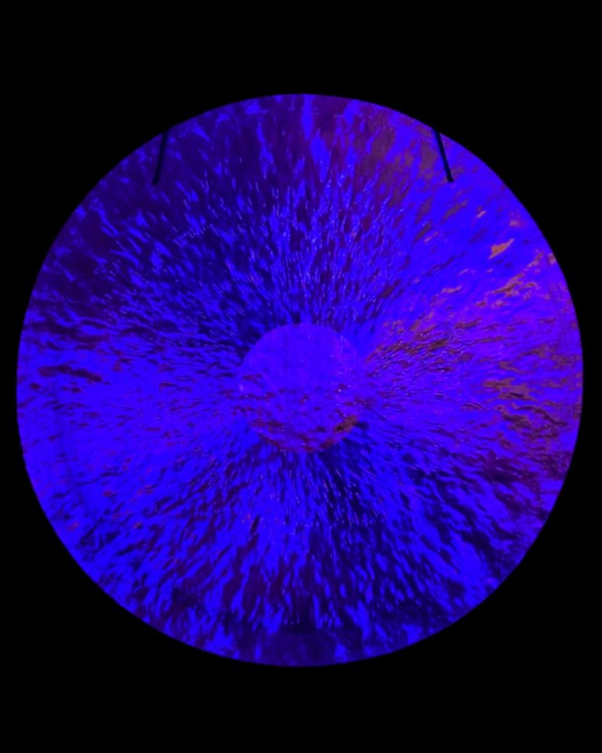 Gong Journey with Monica Mullen | Lancaster, PA | Hempfield Apothetique